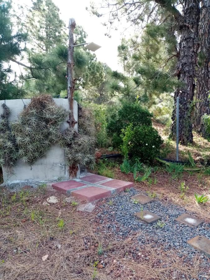 Casa Los Pinos - Sunset & Wifi Puntagorda  Exterior photo